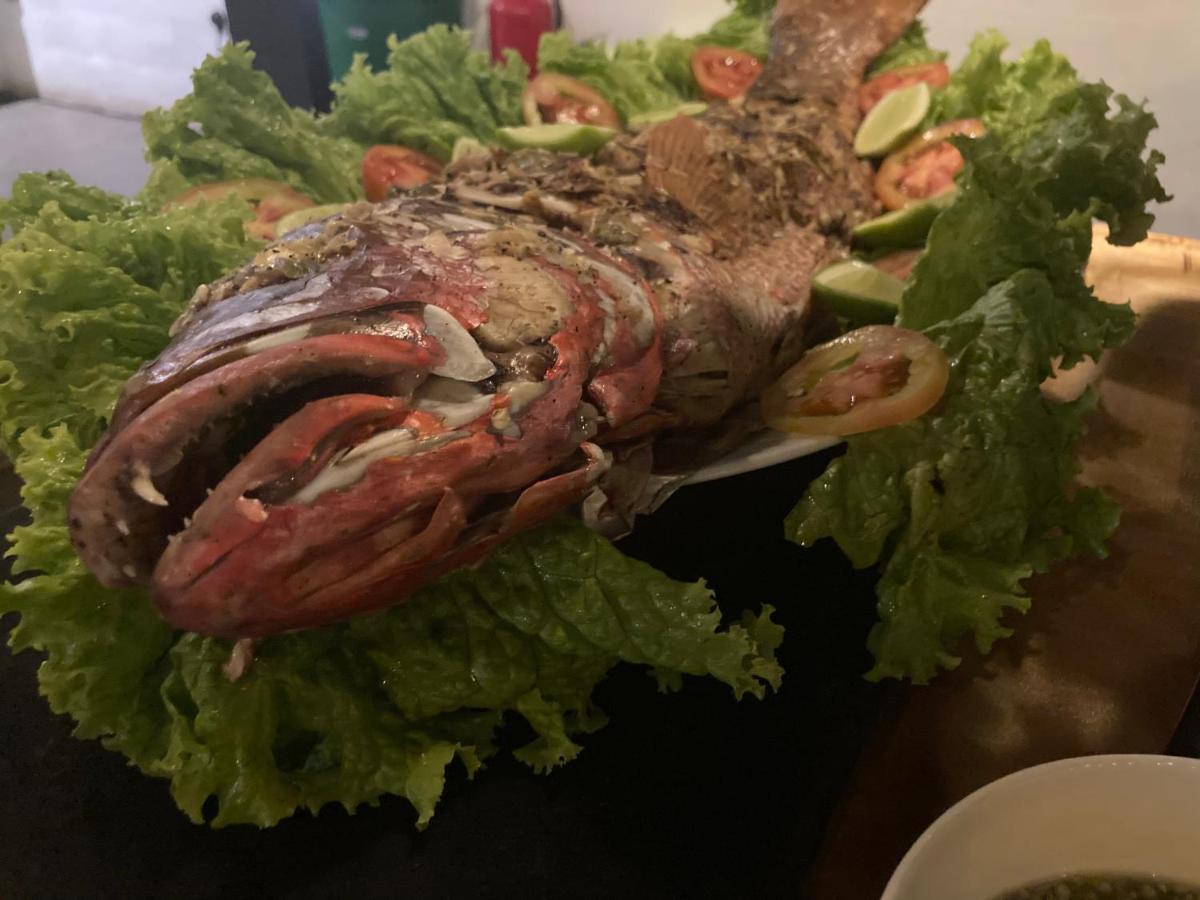 מיריסה Handagedara Resort & Spa מראה חיצוני תמונה